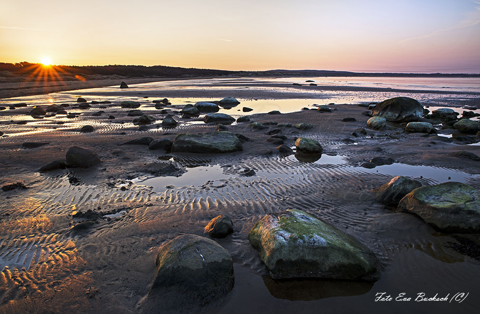 Foto av Eva Bucksch